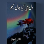 Dil Mein Phool Kya Khilay Urdu Novel By Afshan Afridi